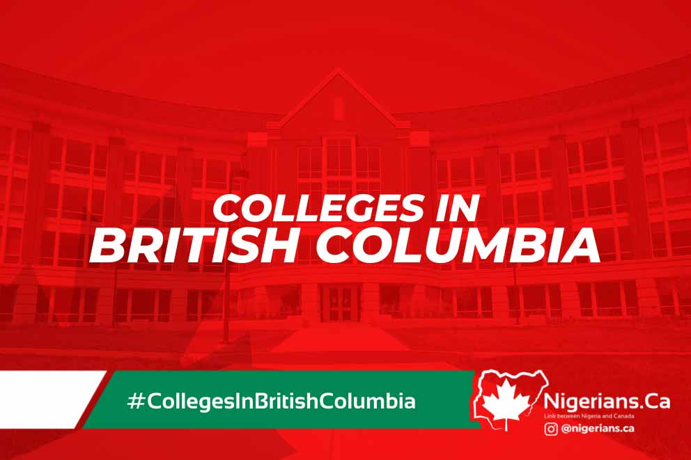 nigerians.ca | colleges in alberta