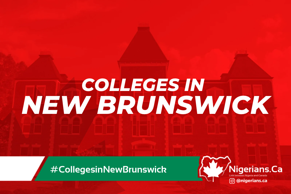 nigerians.ca | colleges in new brunswick
